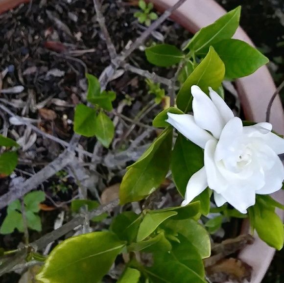 Meet your Posher, Noemi - Picture 1 of 1